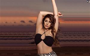 Shama Sikander
